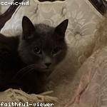 Sarai Ernser Profile Picture