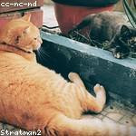 Beryl McGlynn Profile Picture